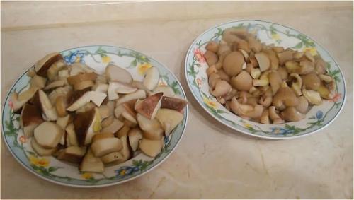 Как заморозить подтопольники на зиму. Как правильно заморозить грибы на зиму в домашних условиях? Заморозка грибов сырыми или вареными