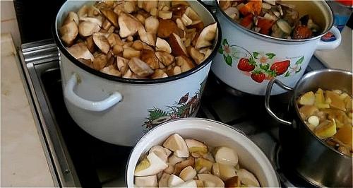 Как заморозить подтопольники на зиму. Как правильно заморозить грибы на зиму в домашних условиях? Заморозка грибов сырыми или вареными