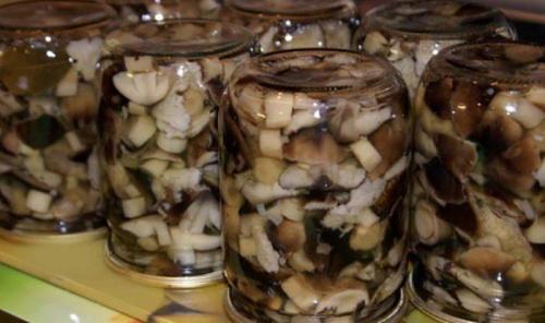 Как правильно варить подтопольники. Секрет настоящих поваров – сколько правильно варить грибы Тополевки