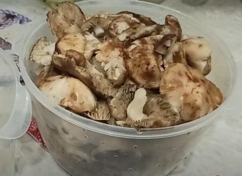 Рецепт маринование грибов рядовки на зиму. Грибы рядовки на зиму — лучшие рецепты соления, маринования, икры