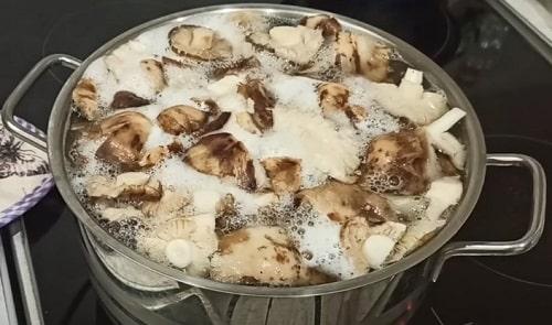 Рецепт маринование грибов рядовки на зиму. Грибы рядовки на зиму — лучшие рецепты соления, маринования, икры