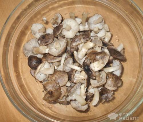 Мышата Маринованные рецепт. Рецепт: Маринованные мышата по-корейски - Очень вкусные Маринованные грибы.