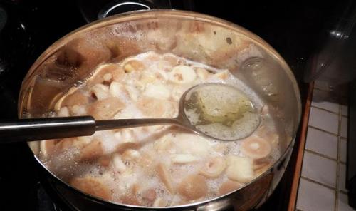 Тополевая рядовка рецепт засолки. Рецепт засолки тополевых рядовок на зиму