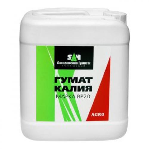 Как поливать рассаженные усы клубники после посадки. Когда высаживать?