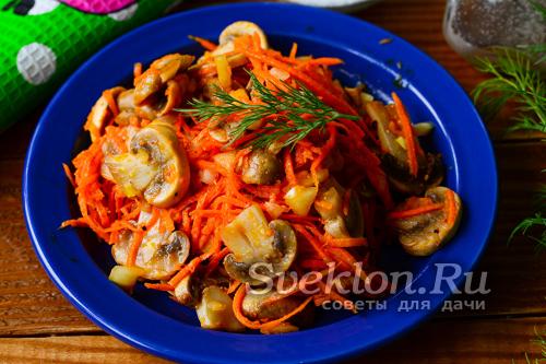 Грибы рядовки, как готовить. Сколько времени и как правильно варить рядовки