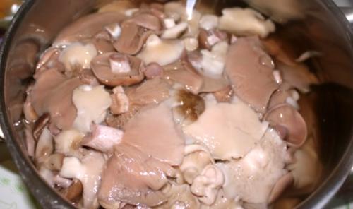 Как приготовить рядовку коричневую. Как готовить грибы бело-коричневые рядовки