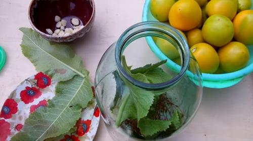 Помидоры на зиму холодным способом без уксуса. Очень вкусные соленые помидоры на зиму в банках без уксуса