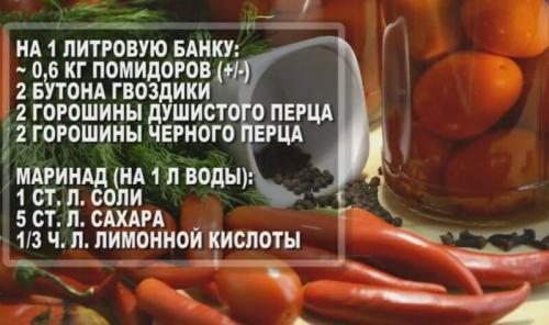 Квашеные помидоры холодным способом. Засолка помидоров на зиму холодным способом: 9 простых рецептов