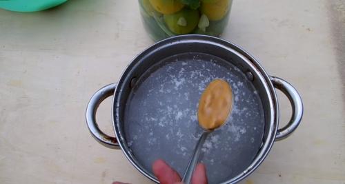 Помидоры на зиму холодным способом без уксуса. Очень вкусные соленые помидоры на зиму в банках без уксуса