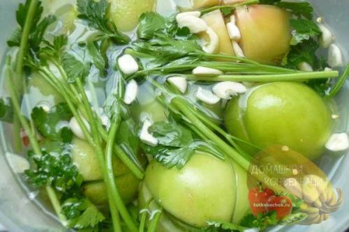 Зеленые помидоры в банке, как бочковые. Консервируем зеленые помидоры на зиму: 9 вкусных и проверенных рецептов