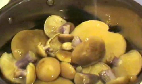 Можно ли жарить тополевую рядовку. Жареные рядовки: рецепты, как правильно приготовить грибы