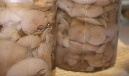 Как приготовить рядовку коричневую. 