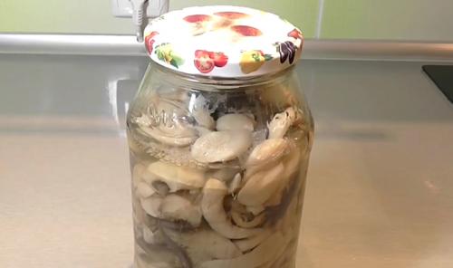 Можно ли жарить тополевую рядовку. Жареные рядовки: рецепты, как правильно приготовить грибы