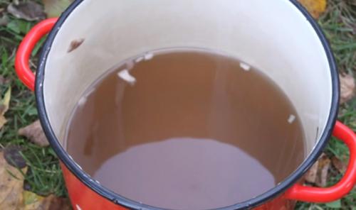 Как приготовить рядовку коричневую. 