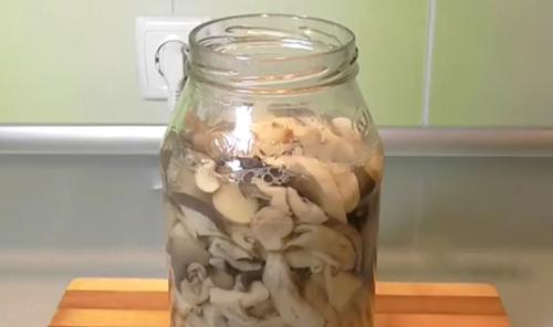 Можно ли жарить тополевую рядовку. Жареные рядовки: рецепты, как правильно приготовить грибы