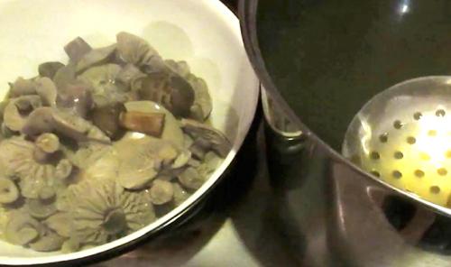 Можно ли жарить тополевую рядовку. Жареные рядовки: рецепты, как правильно приготовить грибы