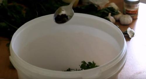 Зеленые помидоры маринованные сладкие. Маринованные зеленые помидоры на зиму – 7 простых рецептов