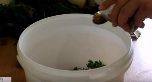 Зеленые помидоры маринованные сладкие. Маринованные зеленые помидоры на зиму – 7 простых рецептов