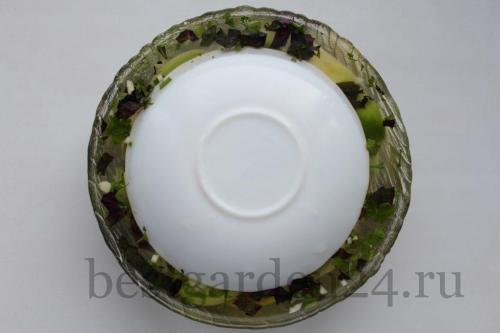 Квашеные и солёные зеленые помидоры без уксуса. Как приготовить квашеные зеленые помидоры без уксуса: 06