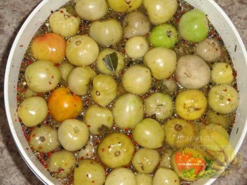 Зеленые помидоры без закатки. Консервируем зеленые помидоры на зиму: 9 вкусных и проверенных рецептов