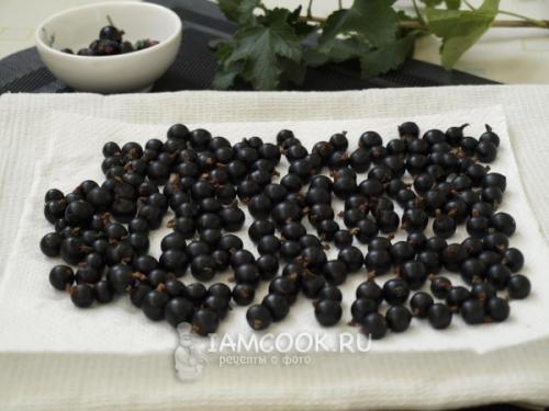 Заморозки не страшны: как правильно готовить смородину к зиме 08