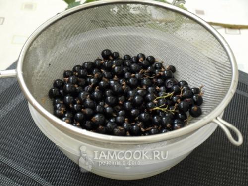 Заморозки не страшны: как правильно готовить смородину к зиме 07