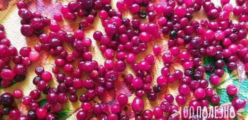 Клюква протертая с сахаром пропорции. Как перетереть клюкву, чем измельчить?