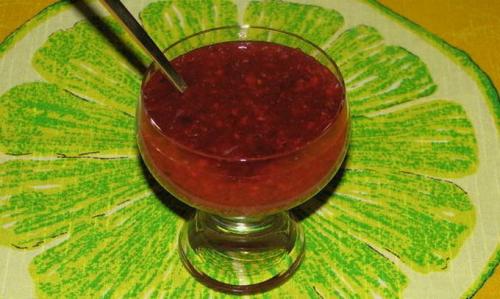 Клюква с сахаром в блендере. Клюква с сахаром на зиму без варки