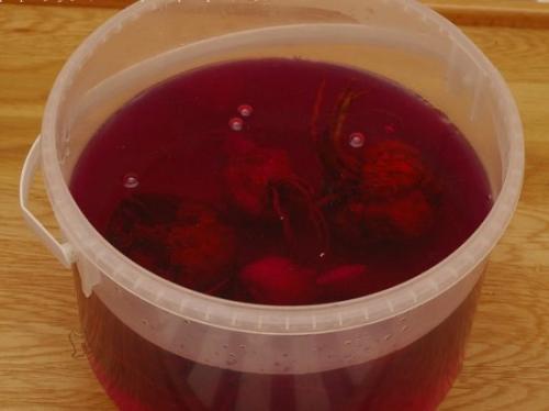 Как пересадить лилии осенью. Особенности осенней пересадки лилий