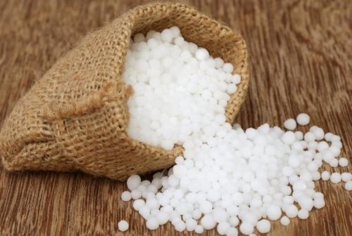 Чем подкормить гортензию для роста и цветения. Чем подкармливать гортензию весной 15