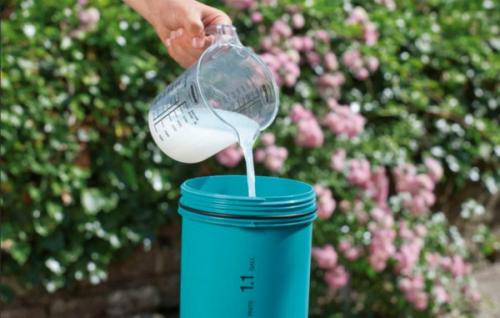 Подкормка гортензии народными средствами. Чем подкармливать гортензию весной для активного роста