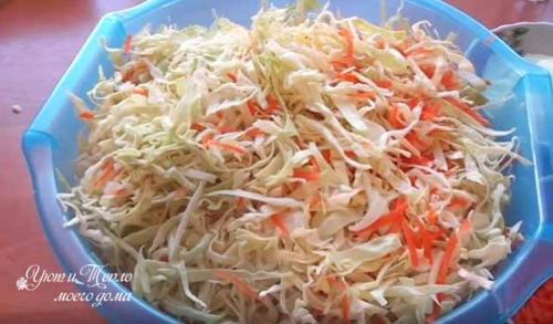 Хрустящая капуста за сутки. Маринованная капуста быстрого приготовления — быстро и очень вкусно