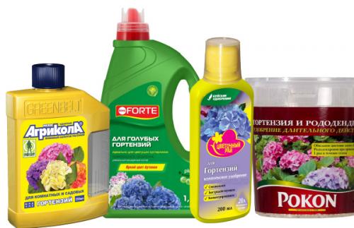 Сульфат аммония для гортензий. Минеральные удобрения