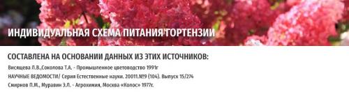 Чем подкормить гортензию для обильного цветения. Подкормка гортензии весной, летом, осенью 07