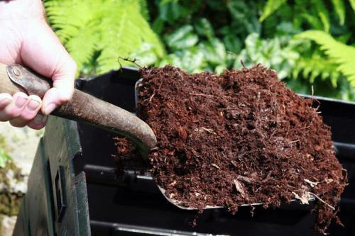 Подкормка гортензии весной органикой и спецпрепаратами. Удобрение для гортензий