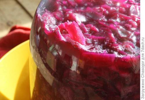 Квашеная краснокочанная капуста на зиму. Квашеная капуста красная