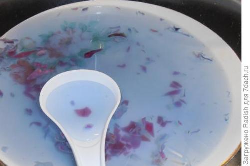 Квашеная краснокочанная капуста на зиму. Мой первый опыт заквашивания краснокочанной капусты