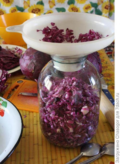 Квашеная краснокочанная капуста на зиму. Квашеная капуста красная