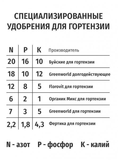 Как правильно вносить удобрения для гортензий. Чем нельзя удобрять 05 Как правильно вносить удобрения для гортензий. Чем нельзя удобрять 05
