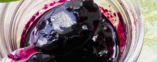 Желе из черники с агар-агаром. Джем из черники – 5 пошаговых рецептов на зиму