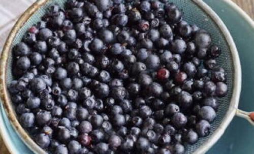 Желе из черники с агар-агаром. Джем из черники – 5 пошаговых рецептов на зиму