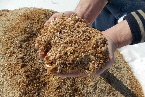 Лучшее удобрение для гортензий. Органика