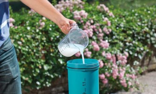 Какие удобрения подходят для гортензии. ПОДКОРМКА МАРГАНЦОВКОЙ 04 Какие удобрения подходят для гортензии. ПОДКОРМКА МАРГАНЦОВКОЙ 04