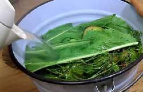 Зеленые помидоры, фаршированные зеленью и чесноком