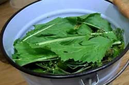 Зеленые помидоры, фаршированные зеленью и чесноком