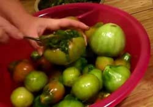 Зеленые помидоры, фаршированные зеленью и чесноком