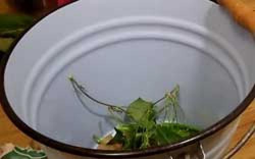 Зеленые помидоры, фаршированные зеленью и чесноком