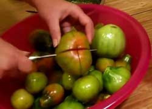 Зеленые помидоры, фаршированные зеленью и чесноком