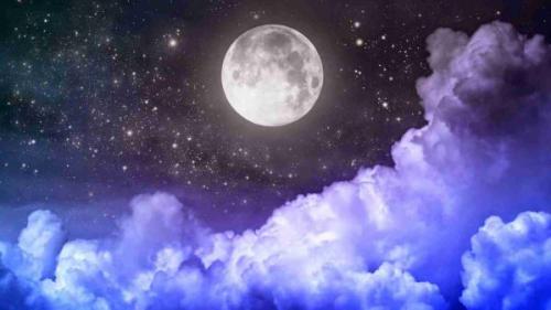 Последняя подкормка гортензий. Когда подкармливать гортензии весной и летом