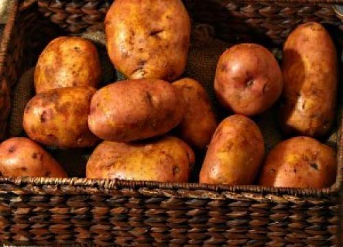 ТОП-10 сортов картофеля сезона 2021. Лучшие ранние сорта картофеля 03 ТОП-10 сортов картофеля сезона 2021. Лучшие ранние сорта картофеля 03